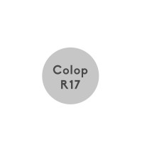 Textplatte Colop Printer r17