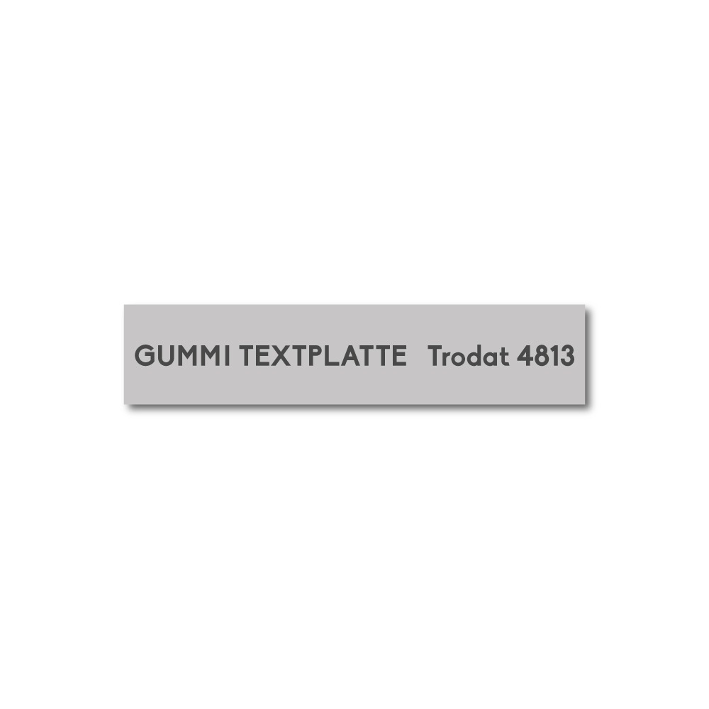 Textplatte 4813